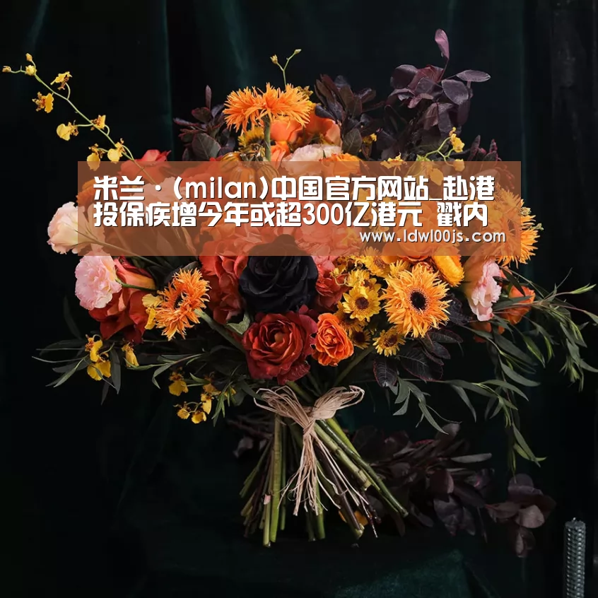 米兰·(milan)中国官方网站_赴港投保疾增今年或超300亿港元 戳内地险企痛点(图3) 米兰·(milan)中国官方网站_赴港投保疾增今年或超300亿港元 戳内地险企痛点(图3)