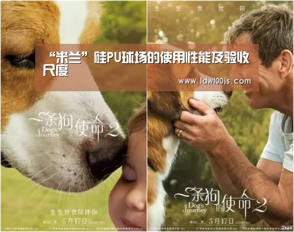 “米兰”硅PU球场的使用性能及验收尺度(图1)